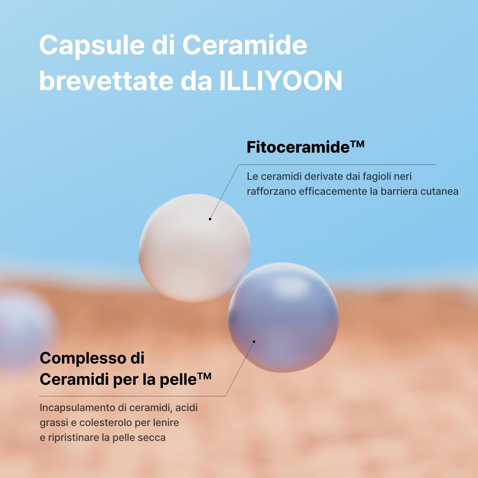 ILLIYOON Ceramide Ato Crema Concentrata 75ml, idratante per pelli secche e sensibili, idratazione per 100 ore, ripristina la barriera cutanea, delicata per neonati adulti, vegana, senza profumi