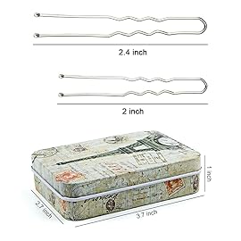 200pcs U Shaped Hair Pins Silver with Cute Case, Hairpins for Buns, Premium Bobby Pins for Kids, Girls and Women, Great for All Hair Types(2.4 & 2 Inch) (Silver)