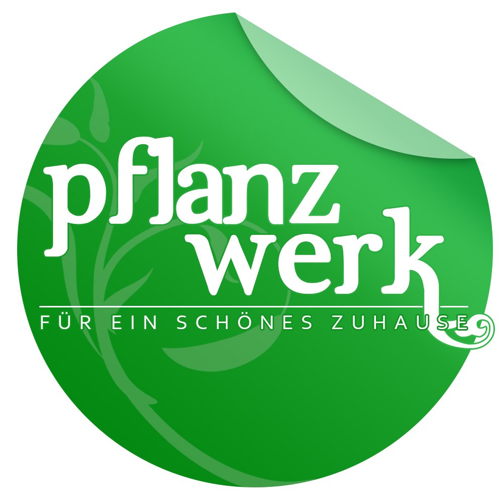 PFLANZWERK® Pflanzkübel Quellerde Blumenerde Pflanzerde 600 Liter *100% Bio* *100% TORFFREI* - Premium MARKENQUALITÄT -