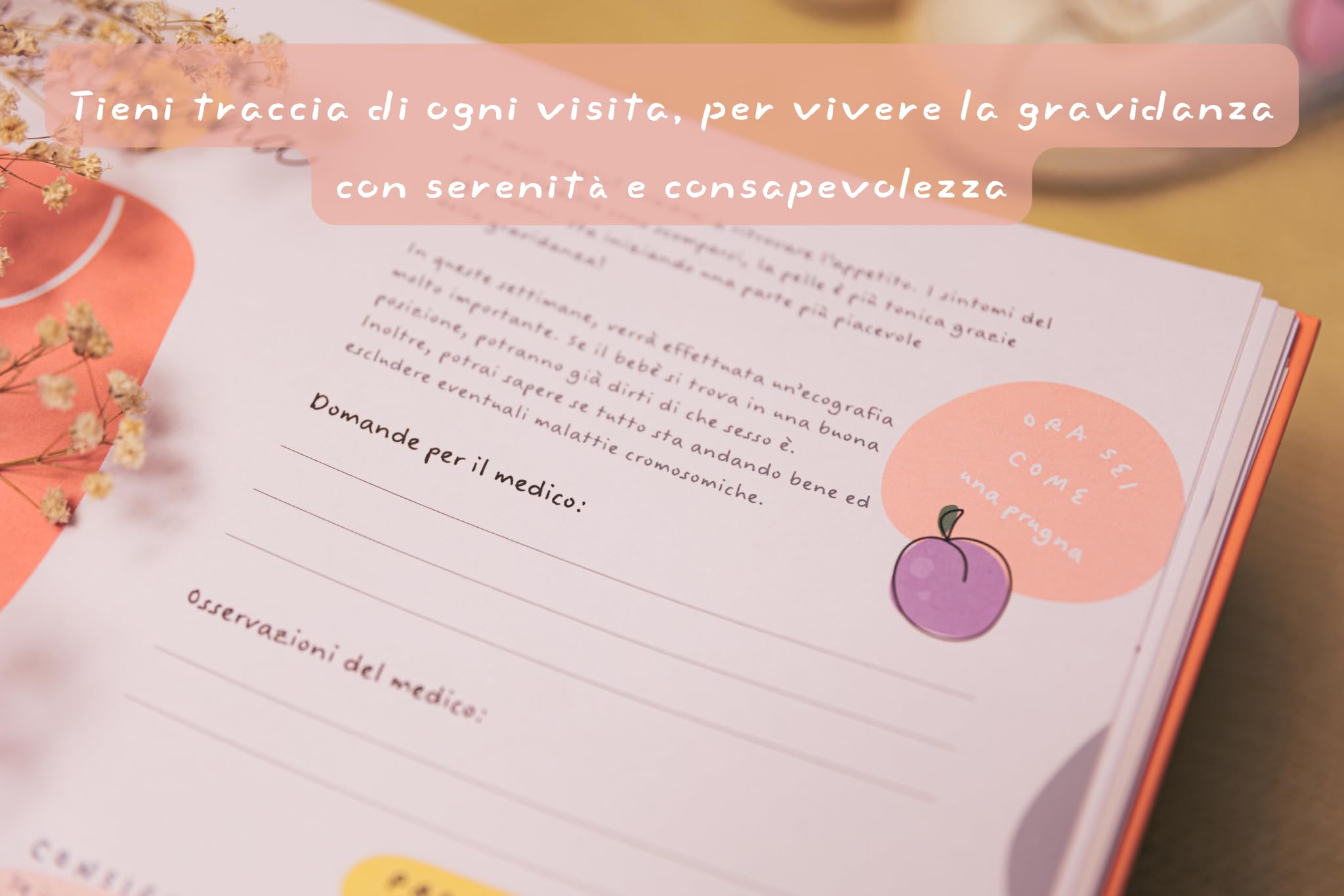 Diario della Gravidanza per Mamma - Album dei Ricordi per Future Mamme - Libro Gravidanza da Compilare con Spazio Foto e Pensieri Settimanalmente - 4