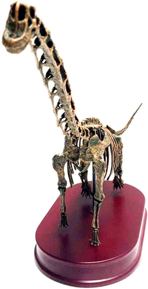 木彫 恐竜 プラテオサウルス全身骨格 1/10スケール 50㎝ 木彫 恐竜