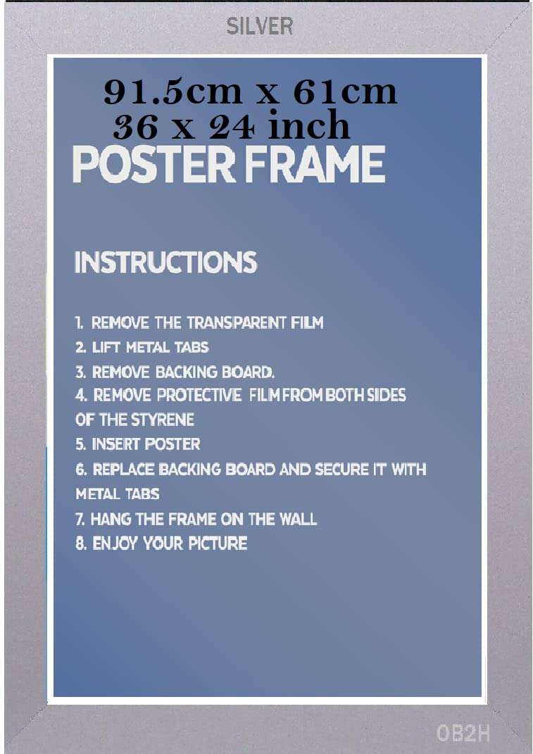 Ob2h Silver Maxi Poster Frame (, 61 X 91.5Cm (36 X 24 Inch)