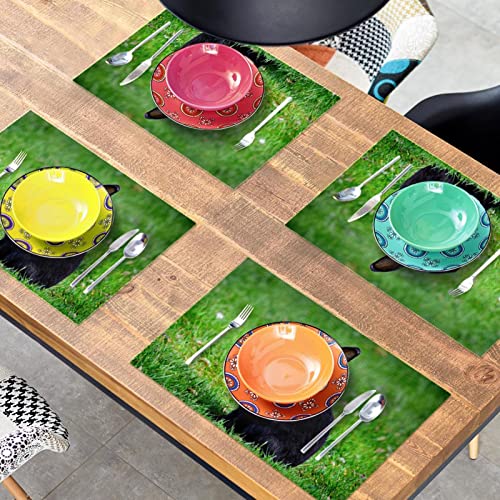 Sets de table noirs 30,5 x 45,7 cm résistants aux taches - 8