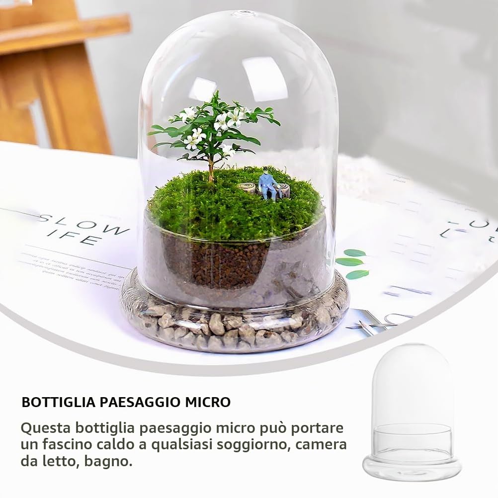 Bottiglia Di Vetro Per Terrario 6.69X4.72In Bottiglia Vuota Ecologica Con Cupola Trasparente Per Micro Paesaggio Muschio Display Casa Ufficio Decorazione