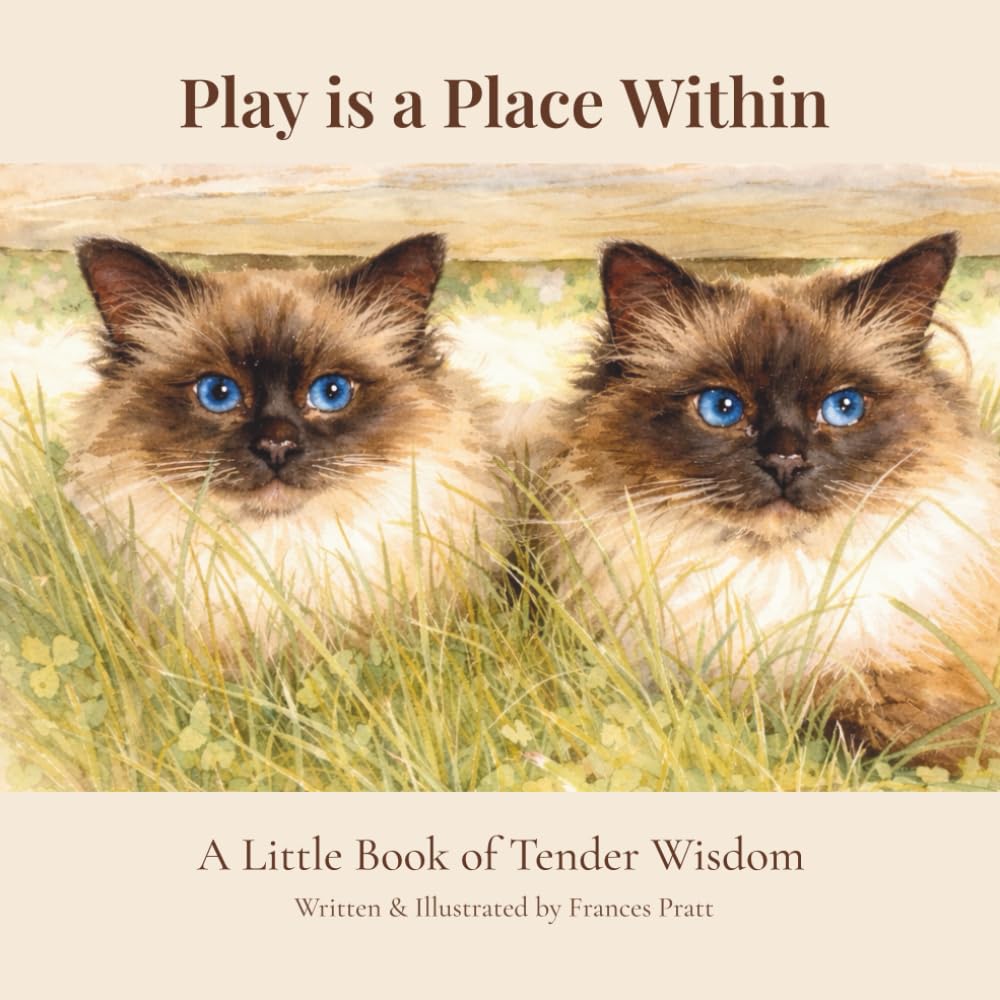 Play Is a Place Within: A Little Book of Tender Wisdom (The Tender Wisdom Illustrated Series)