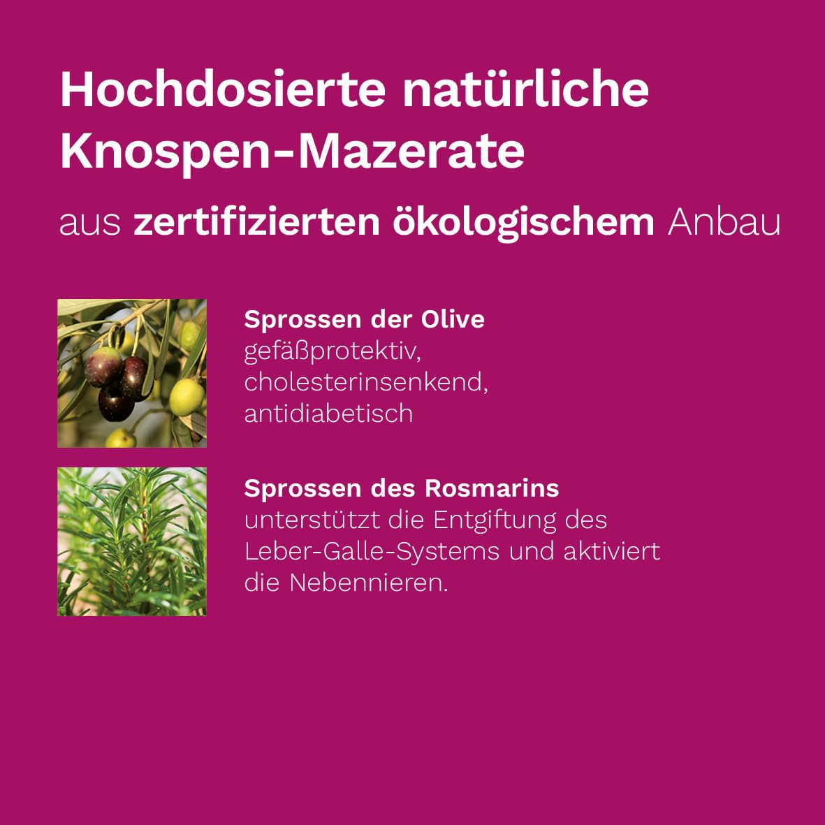 Dr. Koll Stoffwechsel Plus - Nahrungsergänzungsmittel mit Cholin, Glycerolkomplettextrakten und Vitaminen, 50 ml