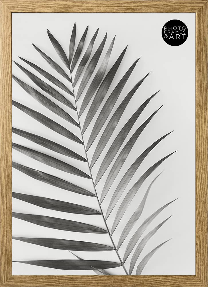 pf+a REAL GLASS Oxford Picture Frame For A3 - Thin Premium Poster Picture Frame For A3 / 42x29.7cm - Oak Effect