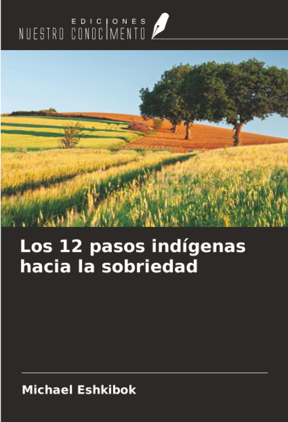 Los 12 pasos indígenas hacia la sobriedad
