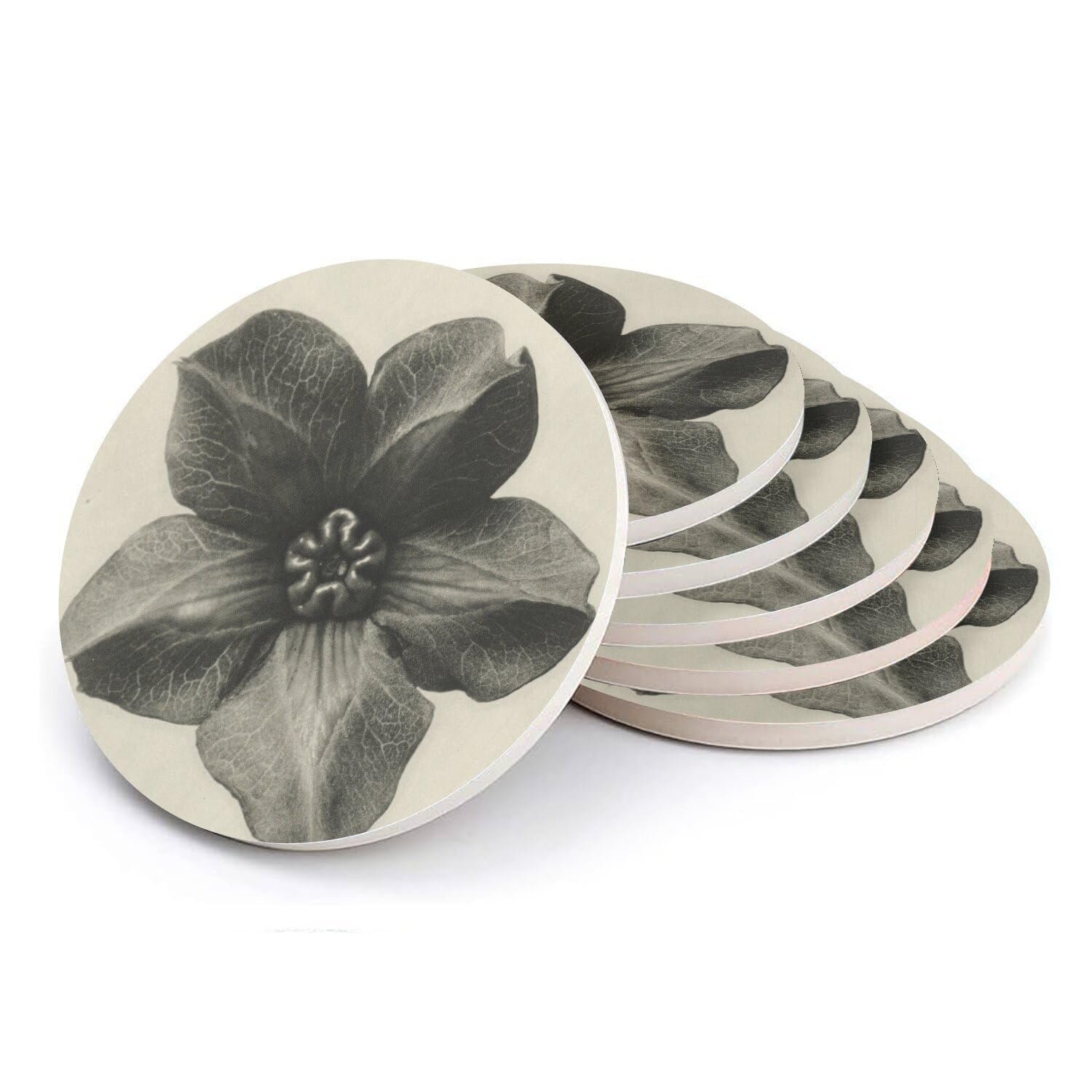 Sous-verres ronds en céramique de qualité supérieure au motif floral