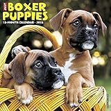 2016 Just Boxer Puppies Wall Calendar