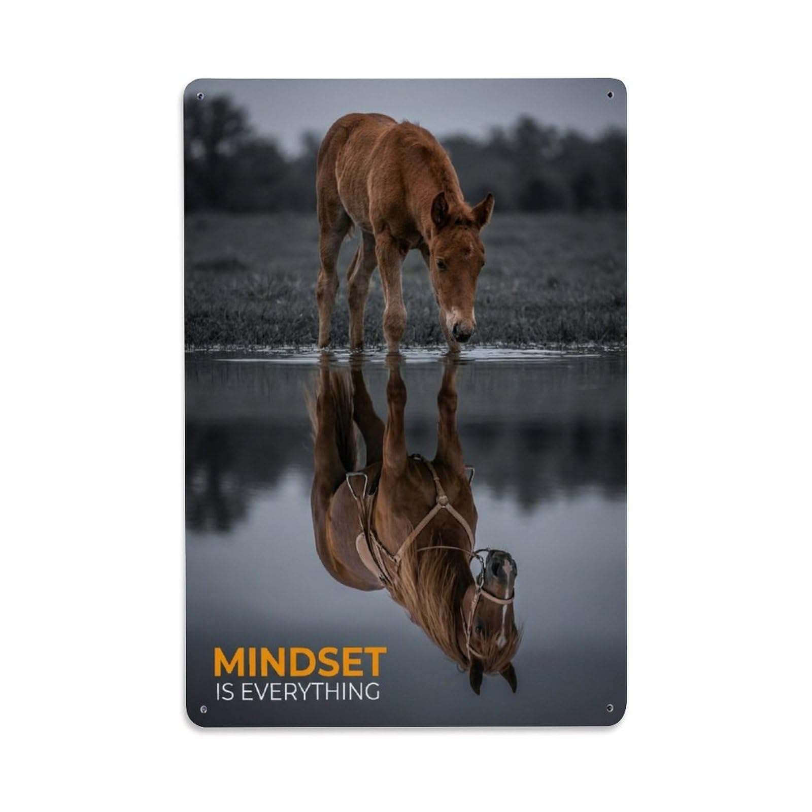 Olhnbad Style Horse Equine Mindset Is Everything Motivational Quote Metal Tin Sign