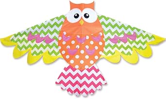 Premier Kites Rainbow Owl Bird Kite are Great Kites for Adults and Easy to Fly Kites for Kids | A Large Kite with a 70 Inch Wingspan and a 36 Inch Body with Bold Colors and Detailed Applique Work