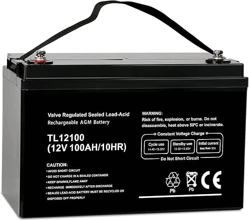 Weize Deep Cycle AGM 12 Volt 100Ah Battery, Maintenance-Free, 3%