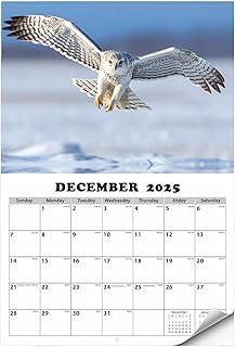 2025年壁掛けカレンダー | イーグル壁掛け月間カレンダー 2025年1月から2026年1月まで | 吊り下げ可能なフリップ式デイリープランナー ホームオフィスや学校用 大胆で明るいスケジューラー 風光明媚なイーグル画像付き