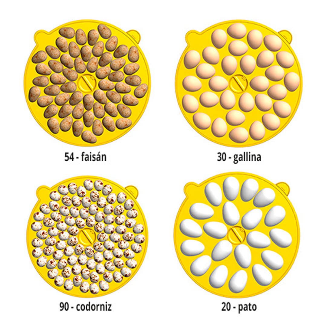 BRINSEA Incubadora Maxi II Eco - Capacidad para 30 Huevos de gallina- Incubadora analógica con volteo Manual - Apta como nacedora