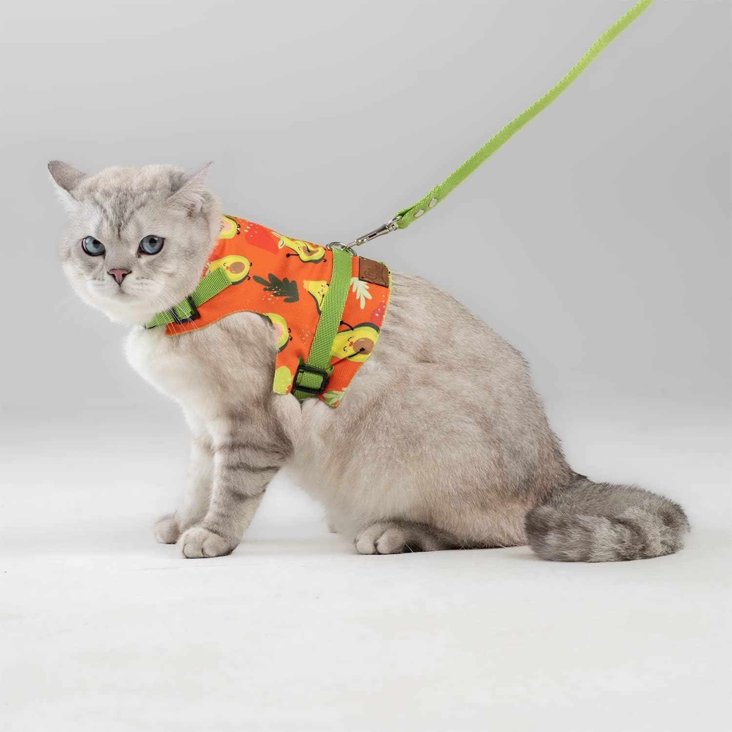 Pet Supplies Patipatron Cat Harness and Leash Set, Cats Escape Proof
