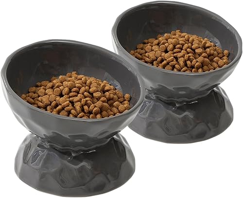Cuenco elevado de cerámica inclinado para gatos, cuenco elevado para alimentos y agua, cuenco para gatitos, plato para gatos, comedero para mascotas