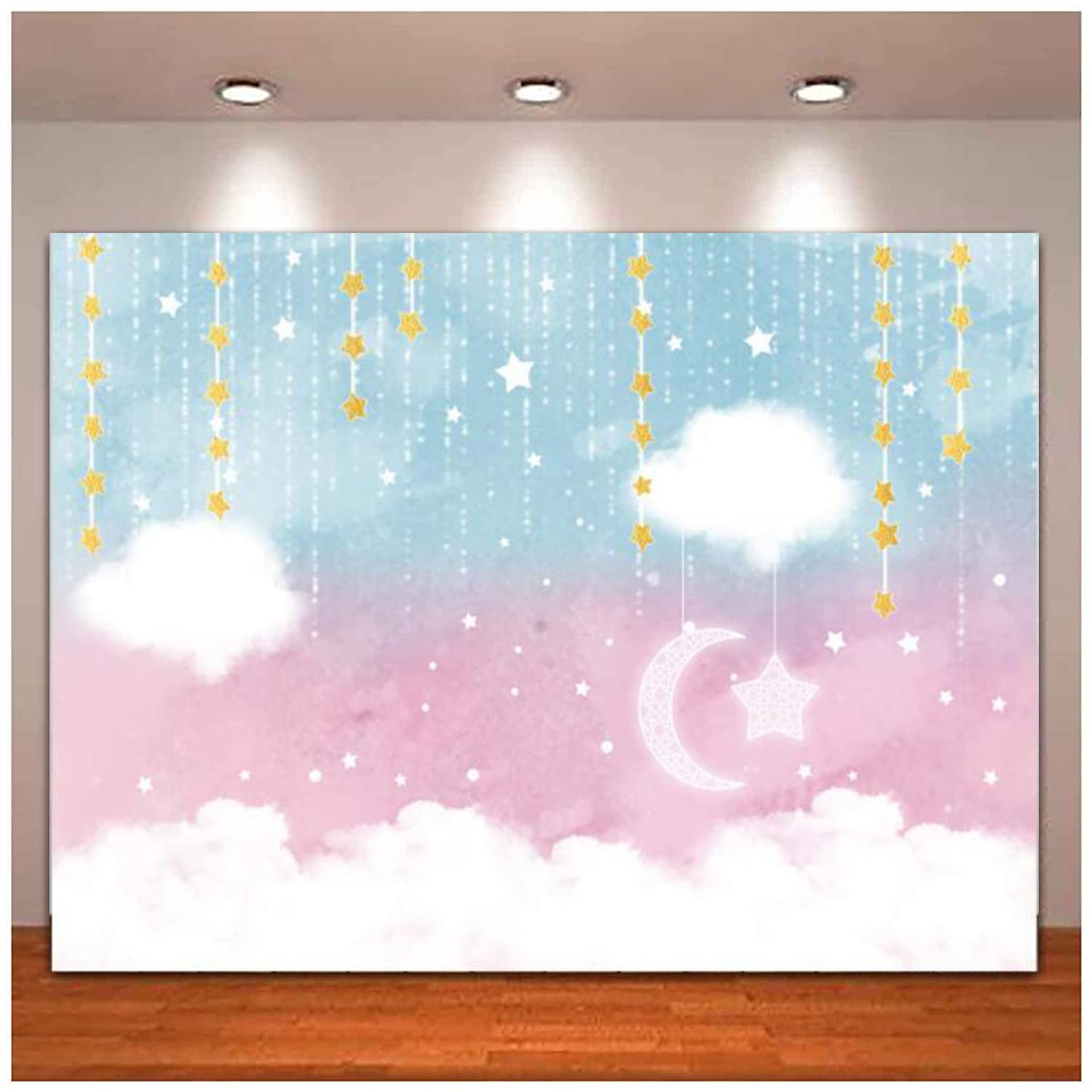 Twinkle Little Star Sex Reveal Photography Backdrop Pink Blue Baby  