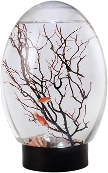 Mini Fish Tank Small Desktop Aquarium with Led Light Self Sustaining Ecosystem No Need to Feed Or Change Water Closed Aquatic Ecosystem for Home Office Ecosphere Shrimp Ecosphere Biosphere