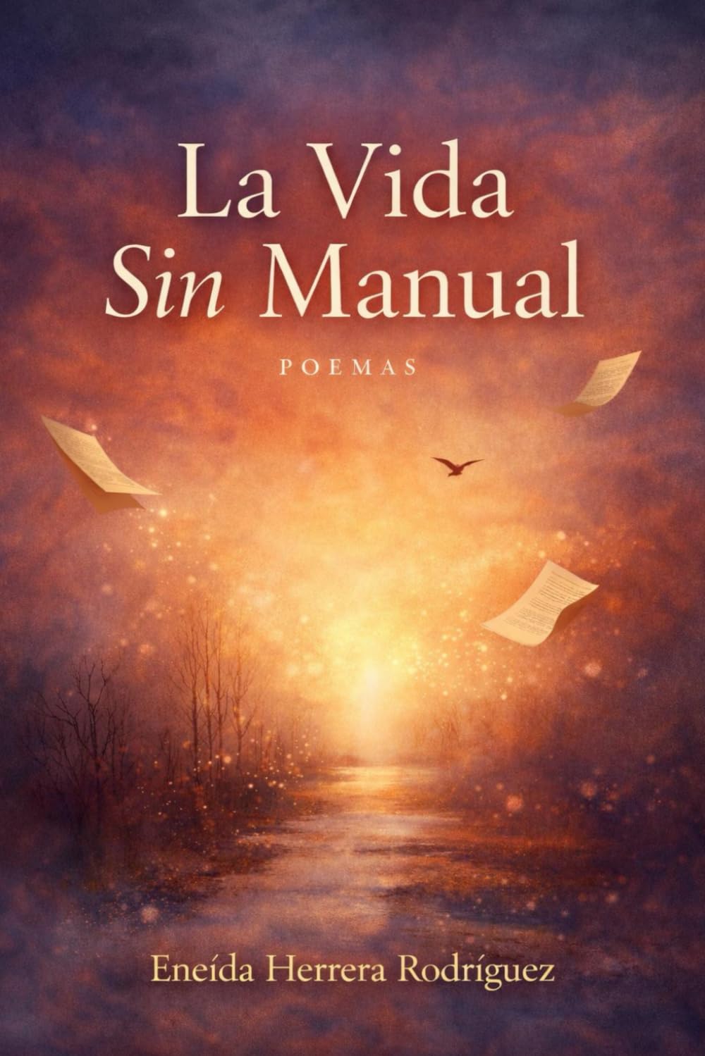 La Vida sin Manual