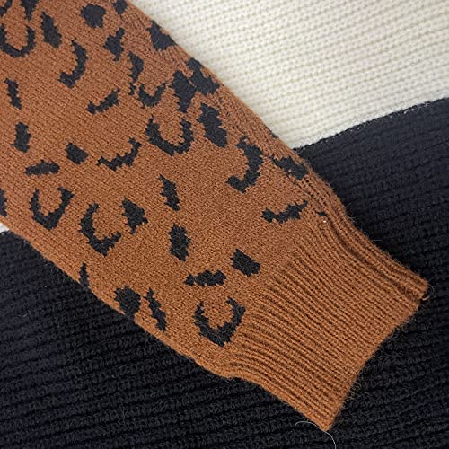 Image of ANCAPELION Women's V Neck Sweater Pullover Leopard Long Sleeve Basic Color Block Jumper Casual Knitted Tops
