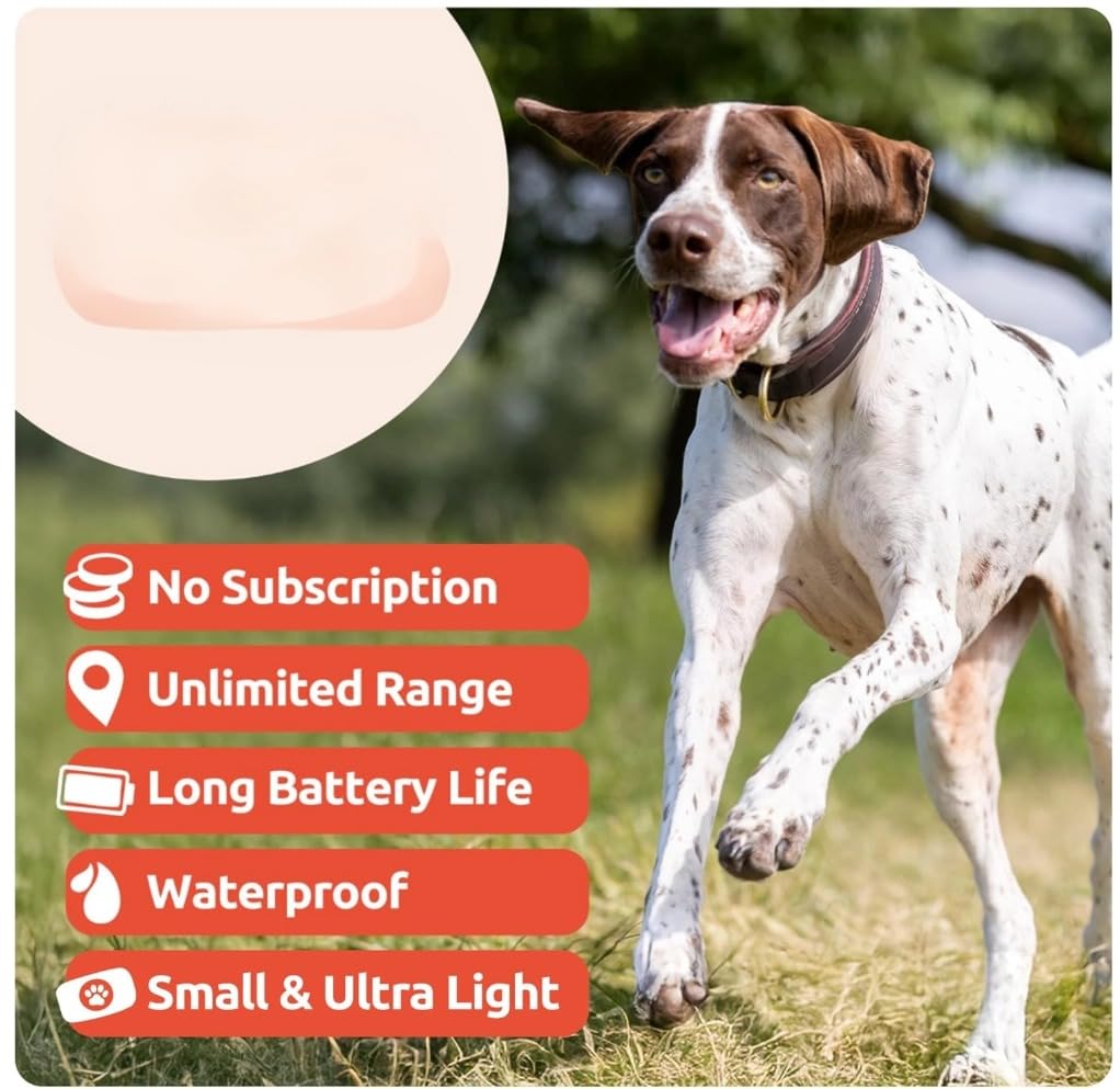 AirTag Cat Collar for Airtag Dog Collar HolderProtective Cat Airtag Dog Collar, Silicone AirTags GPS Tracking Accessories, Air Tags (1 Pack(Black)) - image 4