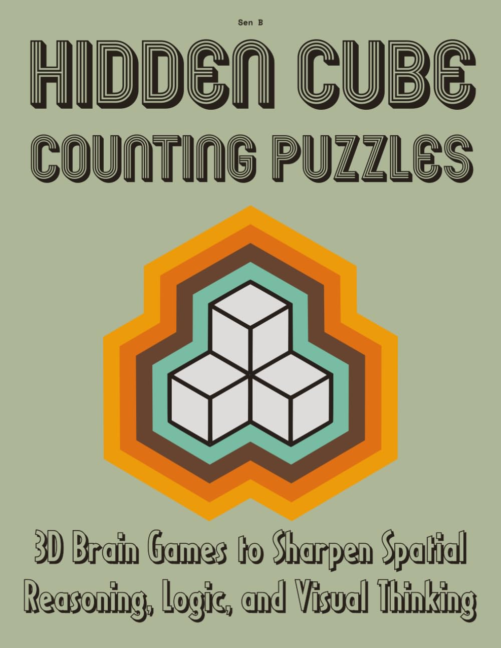 Hidden Cube Counting Puzzles: 3D Brain Games to Sharpen Spatial Reasoning, Logic, and Visual Thinking (Spatial Reasoning Puzzle Series)