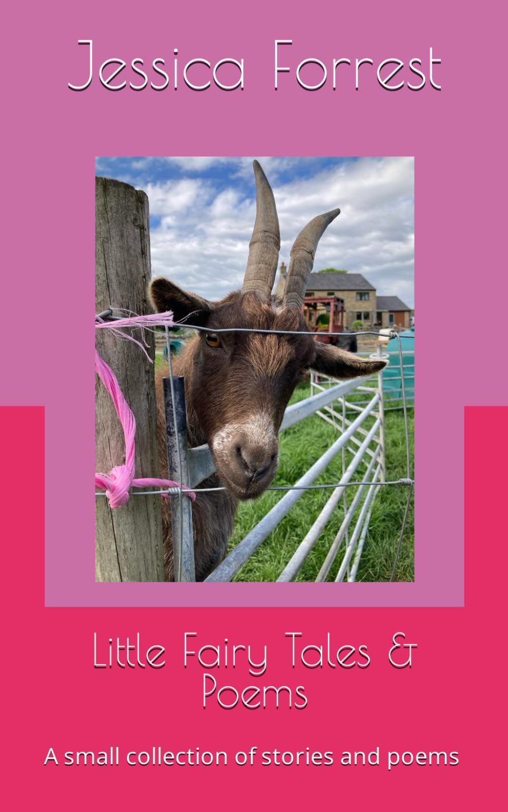 Little Fairy Tales & Poems: A small collection of stories and poems