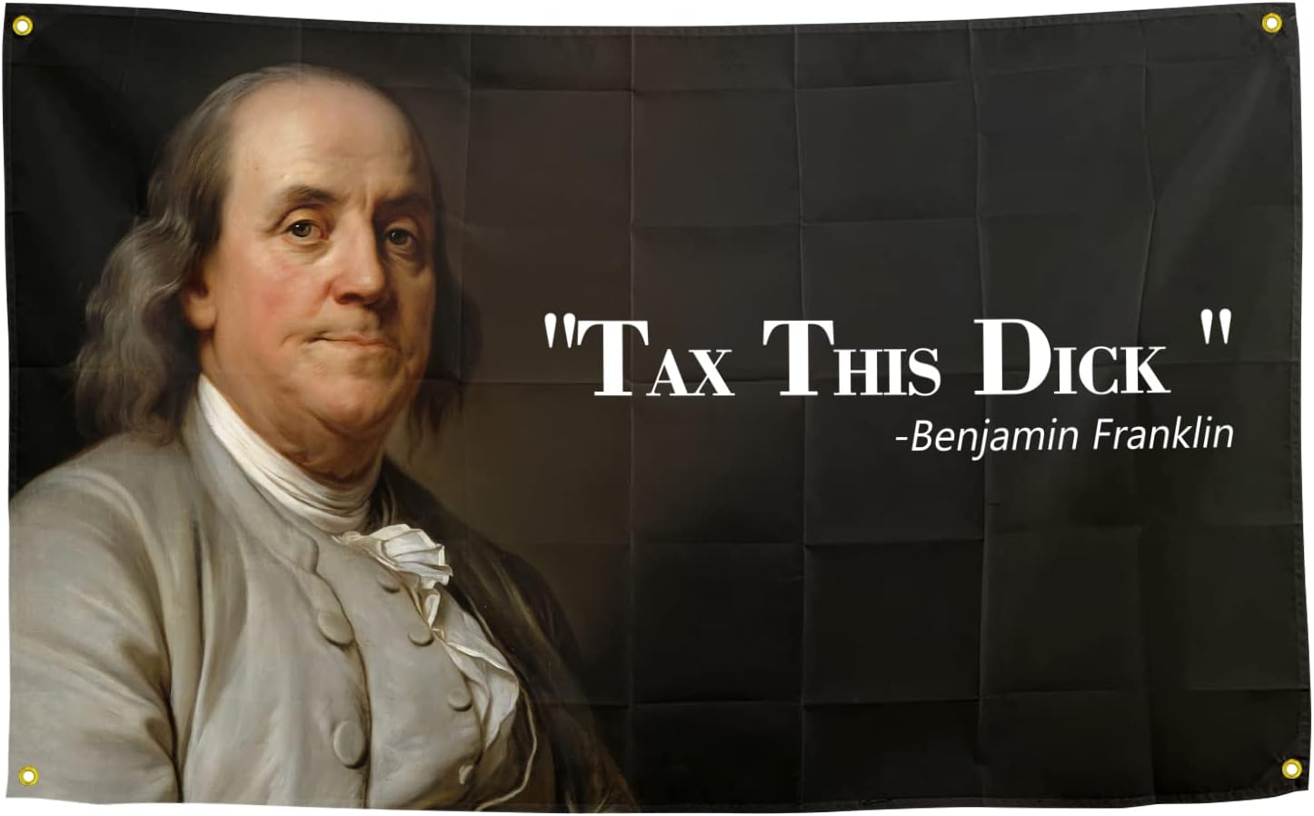 Benjamin Franklin Tax This Dick Flag Funny Flags for Room 3x5 Feet College Dorm Room Decor Man Cave Frat Wall Indoor Outdoor Flag