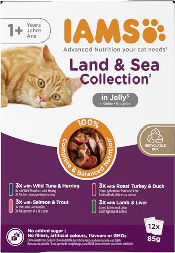 IAMS Delights Land & Sea Collection Katzenfutter Nass in Gelee, 12 x 85 g