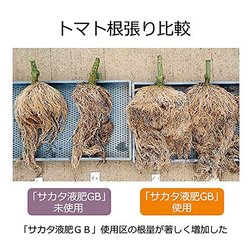Amazon | サカタのタネ【サカタマモルPRO】サカタ液肥GB 1kg(800ml Amazon | サカタのタネ【サカタマモルPRO】サカタ液肥GB 1kg(800ml