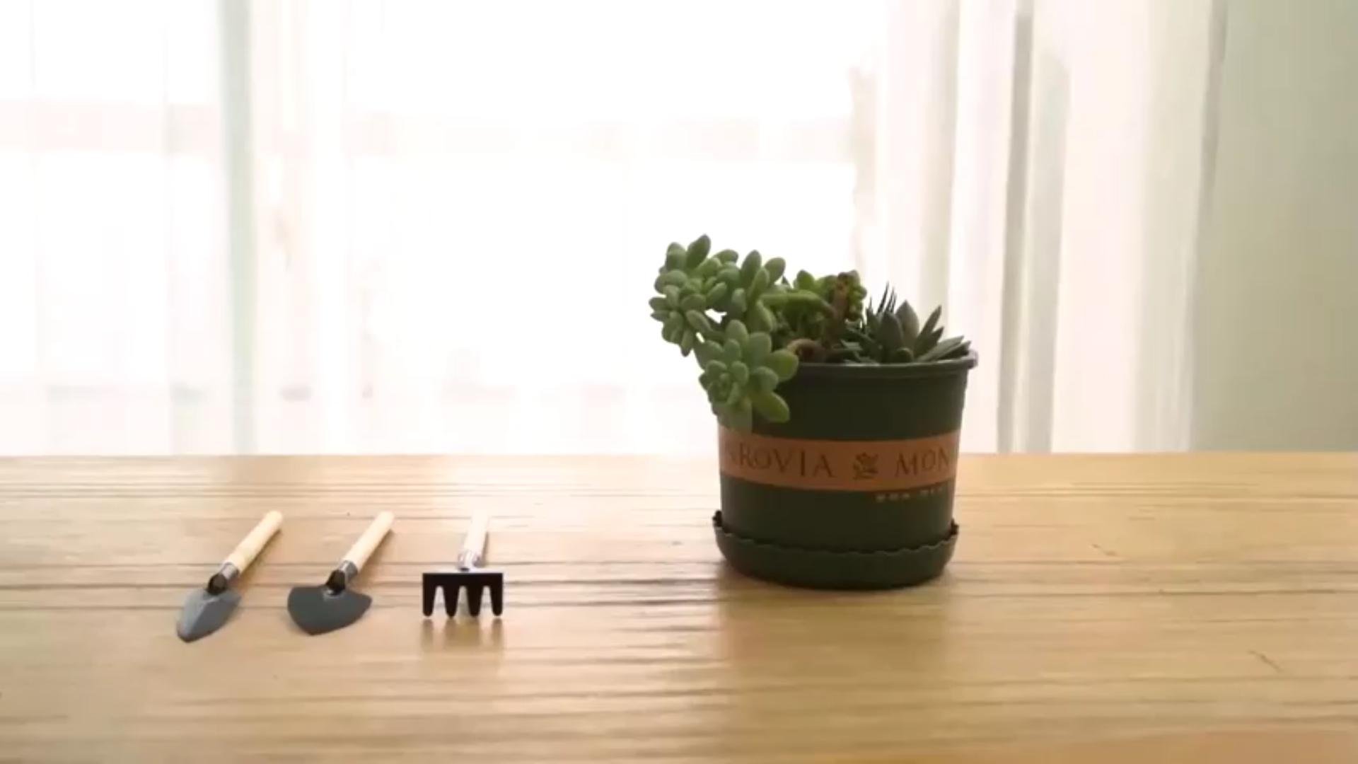 Wekuw Kit Giardinaggio 6 Pezzi - Pala, Rastrello E Accessori In Legno E Ferro, Con Tappetino, Per Piante Grasse - Foto 5