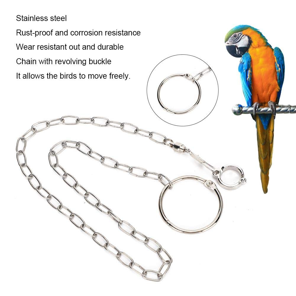 Bird Foot Chain, Pet Bird Leash Parrot Foot Chain Stainless Steel Anti bite Flying Training Anklet Ring Parrot Ankle Foot Ring Accessories