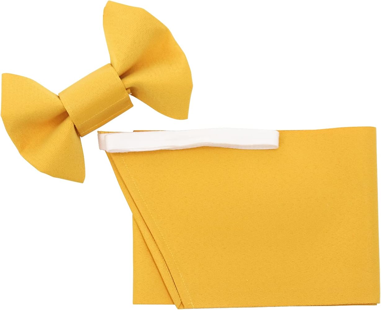 Amazon | [KYOETSU] [キョウエツ] 卒業式 袴 セット 着付け 簡単