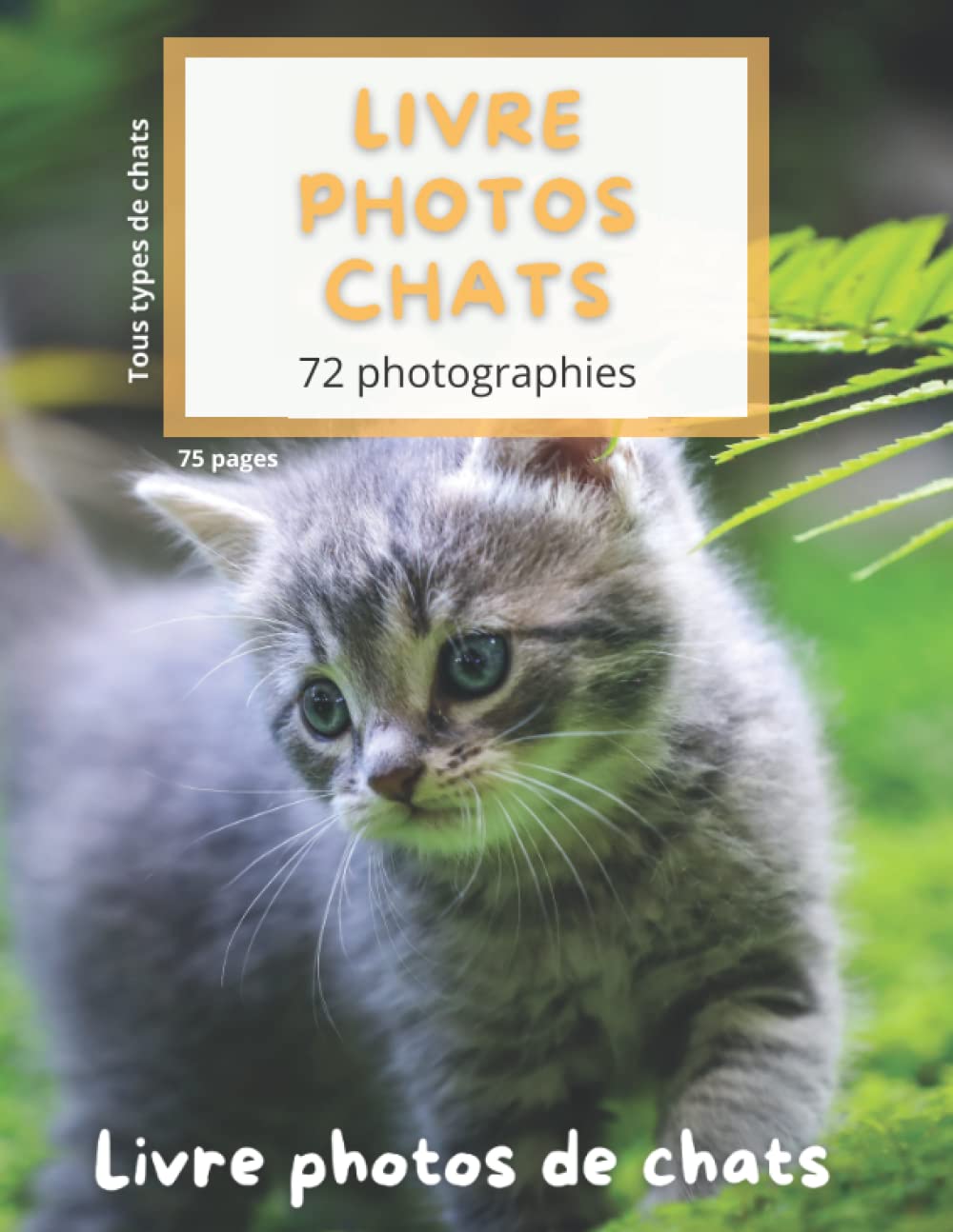Livre photo chats: Belle photographies de race de chats différentes
