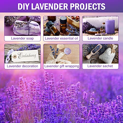 Timoo Dried Lavender Bundles 100% Natural Dried Lavender Flowers For Home Decoration, Photo Props, Home Fragrance, 2 Bundles Pack #TOP2