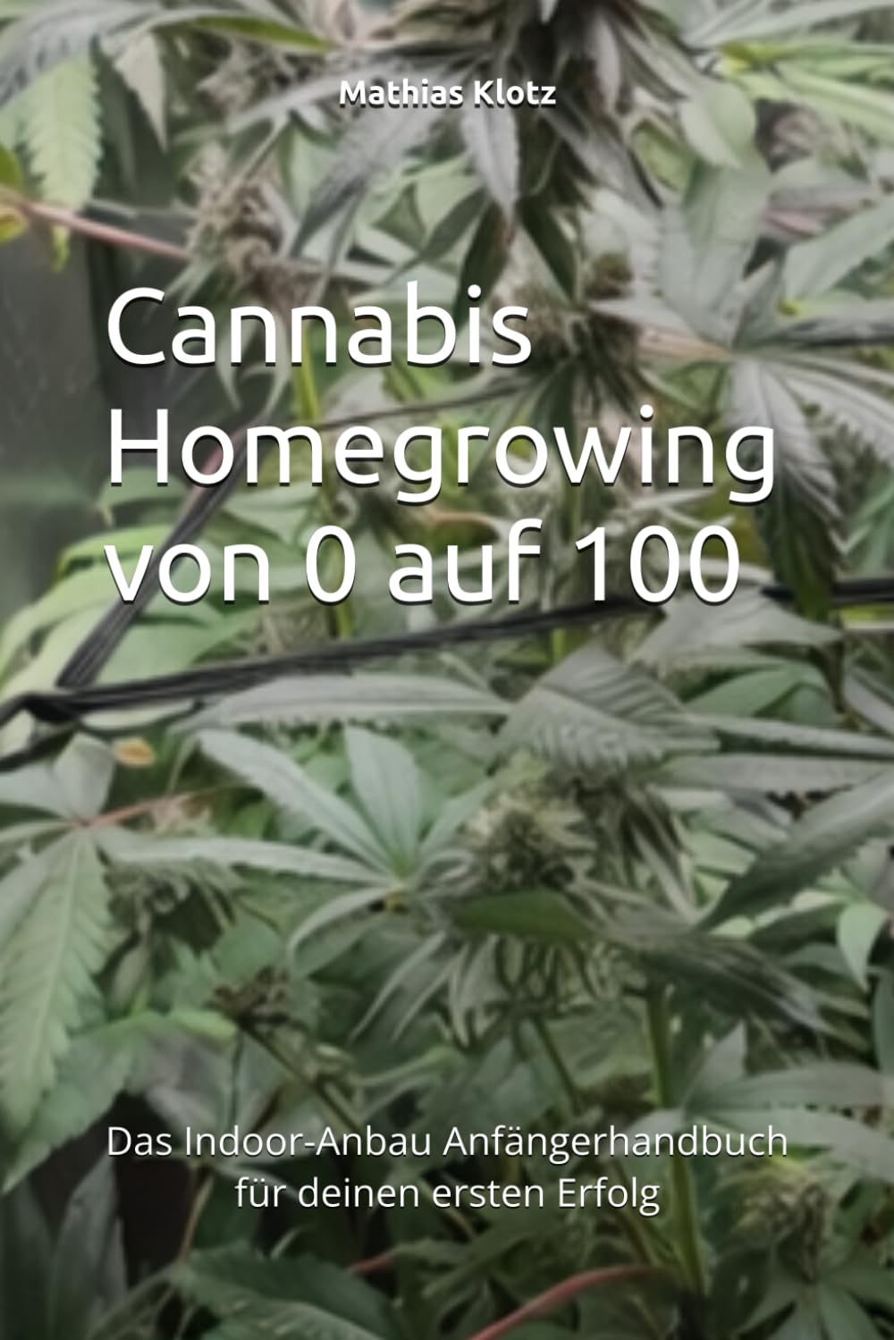 Cannabis Homegrowing von 0 auf 100: Das Indoor-Anbau Anfängerhandbuch für deinen ersten Erfolg