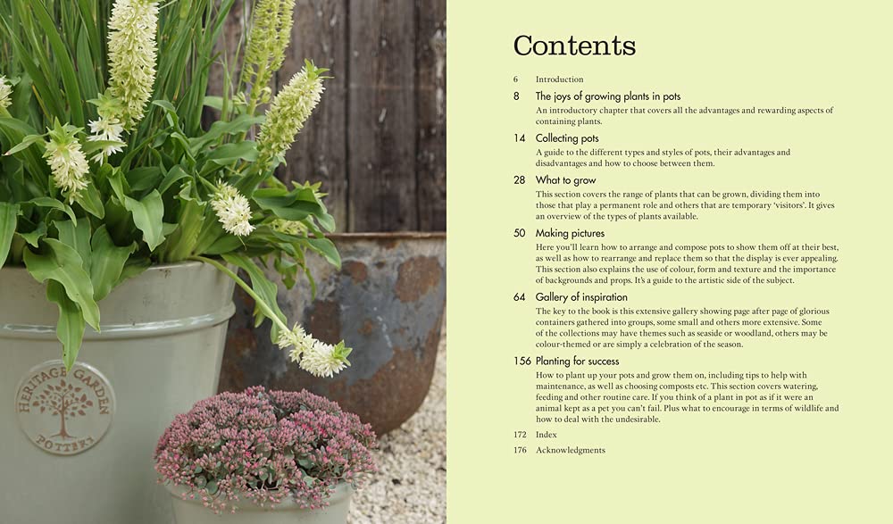 Pots for All Seasons