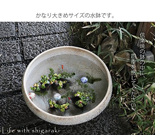 Amazon.co.jp: 信楽焼 25号 手ひねり特大 白窯変すいれん鉢 メダカ鉢