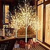 Lamerge Lighted Tree Set of 3Christmas Tree 4Ft5Ft and 6Ft with LED Lights Halloween DecorationSuit for FestivalPartyWeddingBirthdayIndoor and Outdoor UseWarm White LBT3 WW