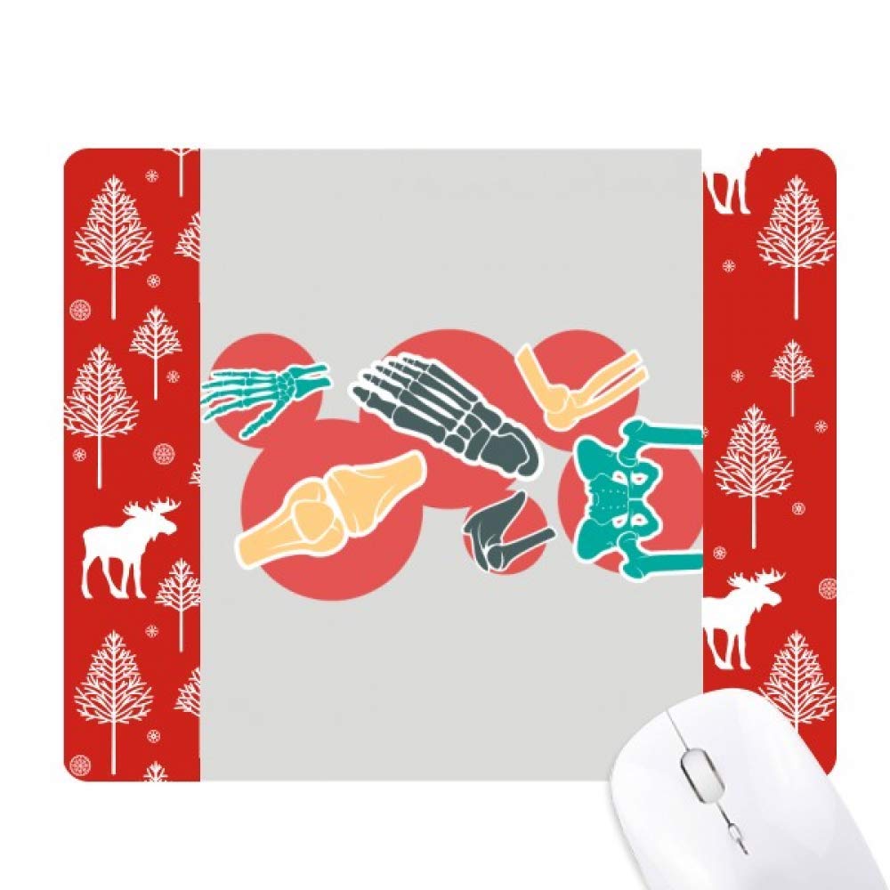 Illustration structure osseuse de souris : affiche Noël dans les bois