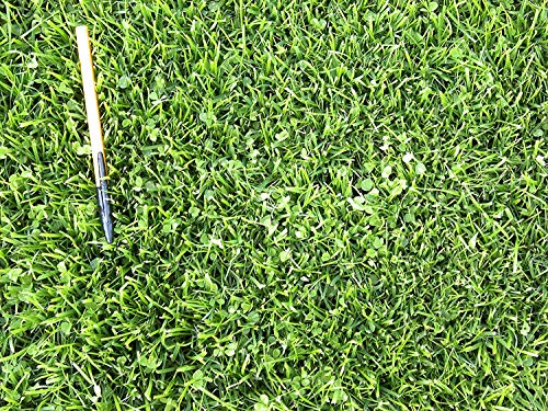 X-Seed 440AS0135UCT-5 MicroLawn Grass & Micro-Clover Mixture, 5, White (Fіvе Расk) - Thumbnail 3