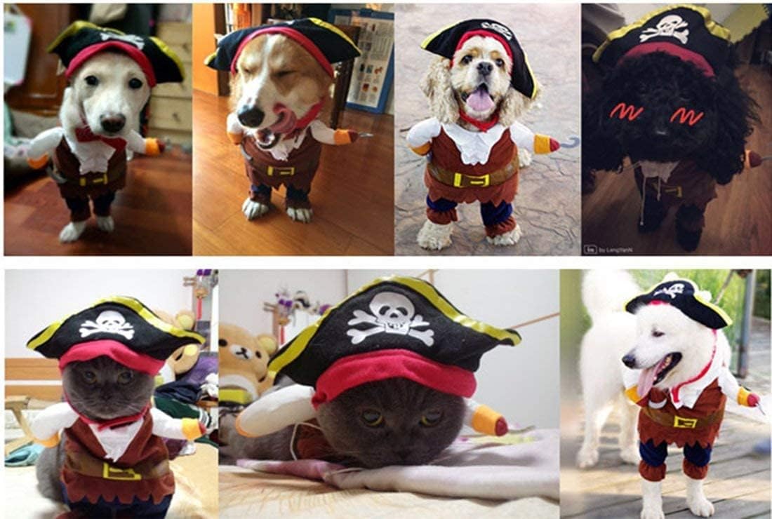 Idepet Funny Pet Clothes Pirate Dog Cat Costume Party Apparel | halloween pet suit,corsair dressing up,cat apparel,clothing for dogs,with hat,for small dogs cats,cosplay