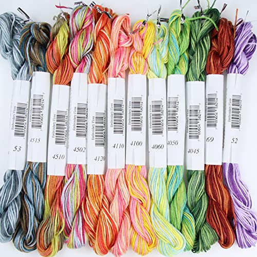 Image of KCS Big skeins of 25 Meters Size 25 Color Variegated Cross Stitch Stranded Threads,12 skeins,14
