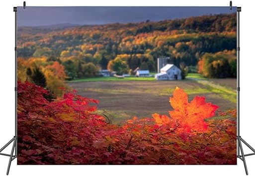 7x5FT Vermont Photography Backdrop Background Cloth Portrait Photo Booth Studio Prop Banner Photographers Home Office Decor Supplies