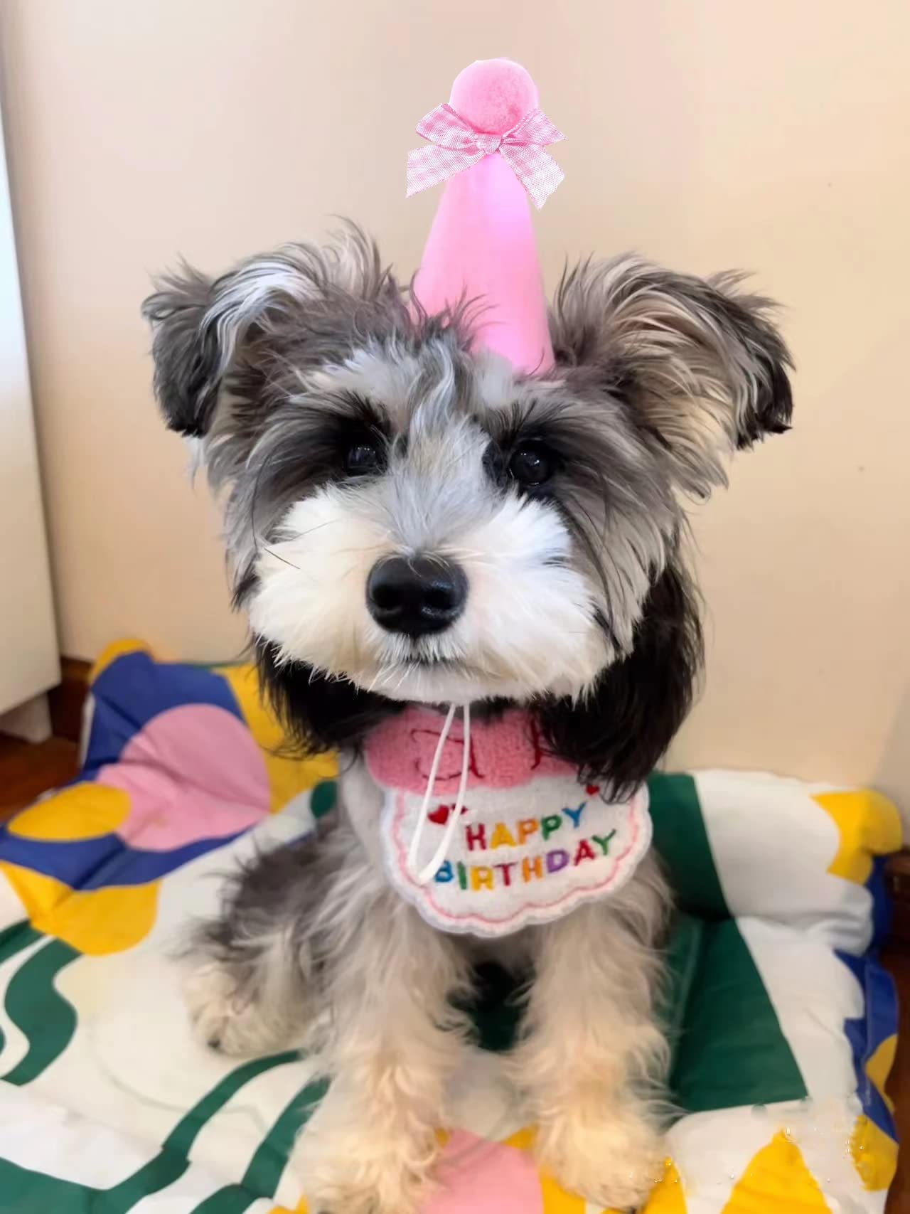Sombrero De Fiesta De Cumpleaños Para Perro Y Gato, Conjunto De Pañuelo, image size:1280x1707