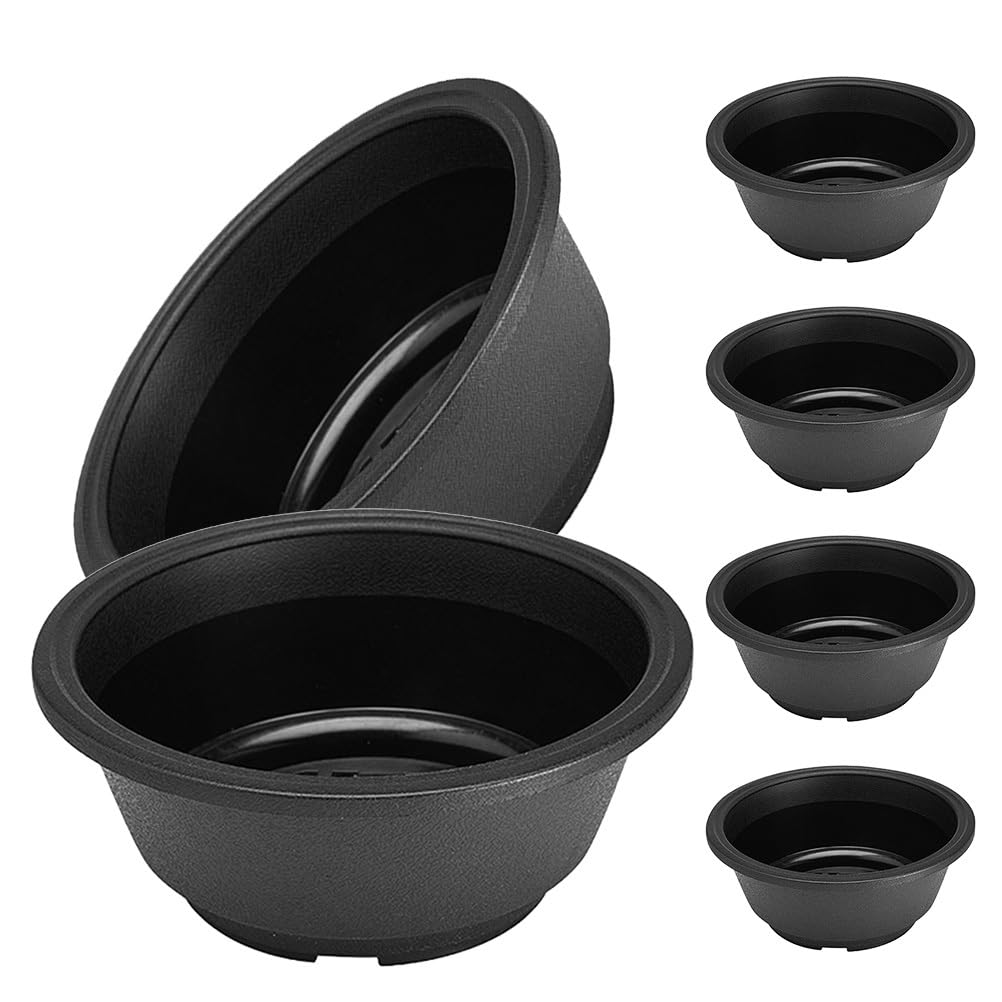 BESPORTBLE Shallow Succulent Pots with Hollow Bottom - 6pcs Durable Plastic Planters for Bonsai Training & Cactus, Round Flower Holders for Indoor Home Decor, 15.5cm Black