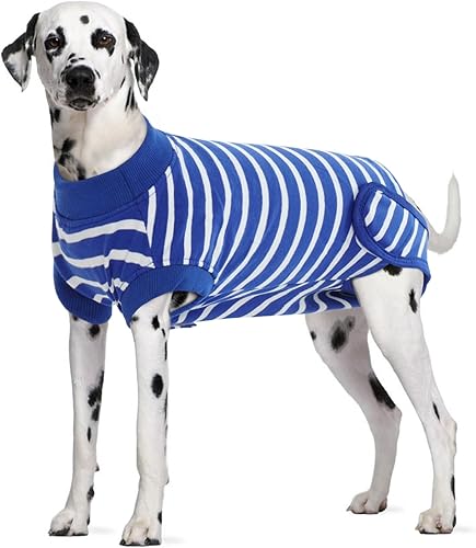 IDOMIK Traje de recuperación para perros para esterilización femenina, mameluco ajustable antilamidas para postcirugía, traje esterilizador de