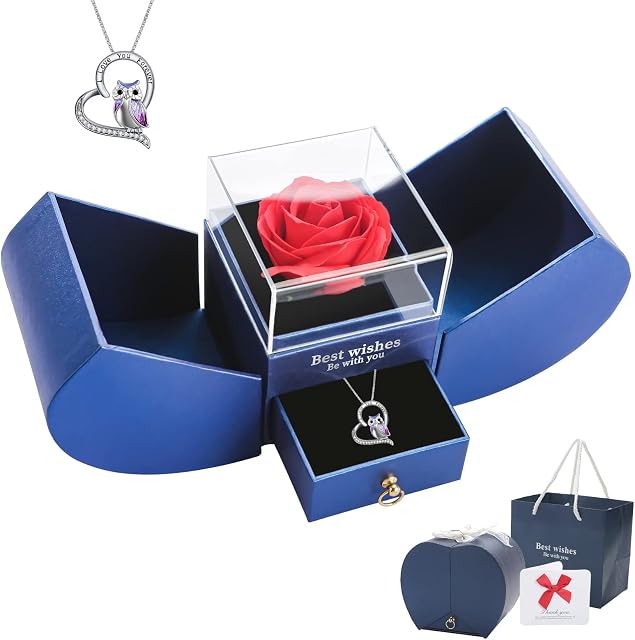 TANTAKO Preserved Red Rose Flowers with I Love You Necklace Gifts Set, Gifts for Mum Wife Grandma Girlfriend Sister on Christmas Mother's Day Birthday Anniversary and Valentine's Day in Blue Gift Box