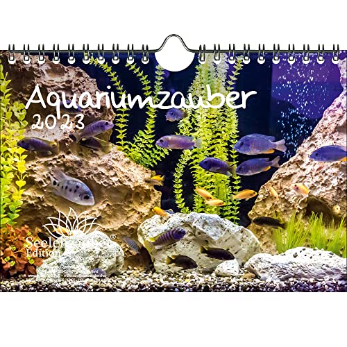 Calendrier mural DIN A5 pour animaux 2023 dans l'aquarium et sous l'eau - Contenu : 1 calendrier, 1 carte de Noël et 1 carte de vœux (3 pièces au total)